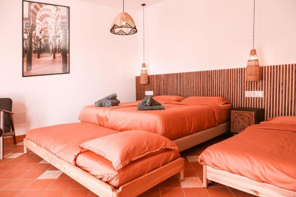 Bed and breakfast Besito *